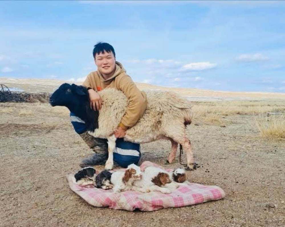 ЭРДЭНЭЦАГААНД НЭГ ХОНЬ ТАВАН ИХЭР ХУРГА ГАРГАЛАА