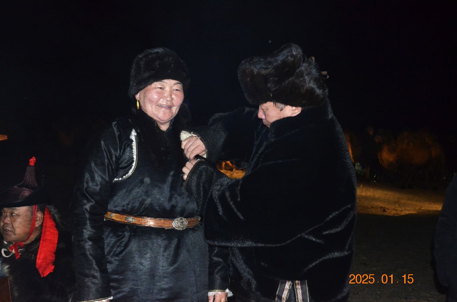Тэмээчин профессор
